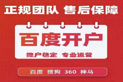 某电商平台的SEM推广实战经验